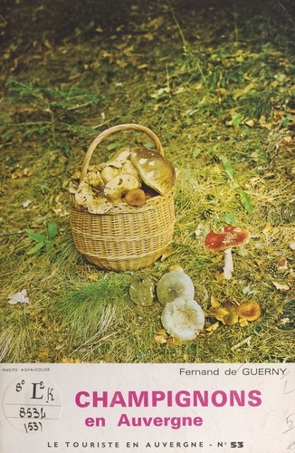 Les champignons en Auvergne
