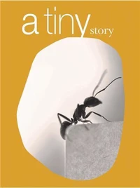 A tiny story