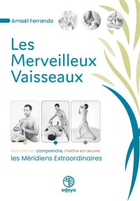 Les merveilleux vaisseaux