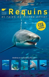 Requins et raies du monde entier