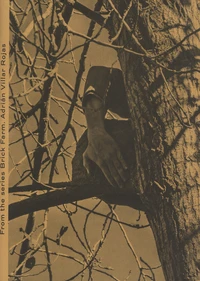 From the series Brick Farm