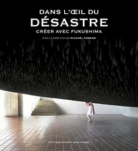 Dans l'oeil du désastre