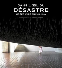Dans l'oeil du désastre