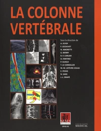 La colonne vertébrale