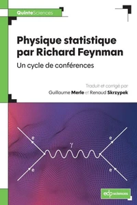 Physique statistique par Richard Feynman