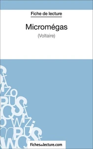Micromégas