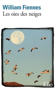 Les oies des neiges