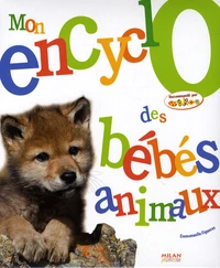 Mon encyclo des bébés animaux