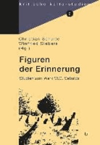 Figuren der Erinnerung - Studien zum Werk W. G. Sebalds.