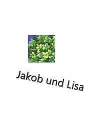 Finn Magnus - Jakob und Lisa 3 - Die Sommerdetektive.