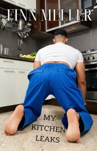 My Kitchen Leaks