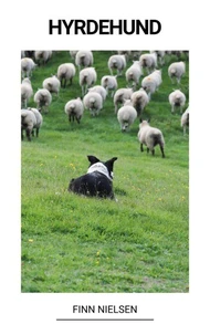 Hyrdehund