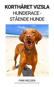 Korthåret Vizsla (Hunderace - Stående Hunde)