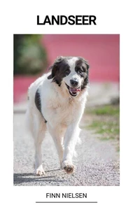 Landseer