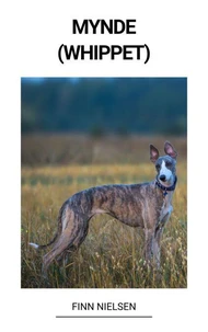 Mynde (Whippet)
