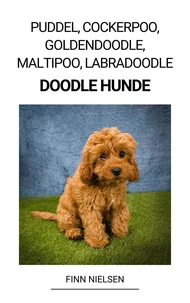 Puddel, Cockerpoo, Goldendoodle, Maltipoo, Labradoodle (Doodle Hunde)