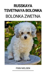 Russkaya Tsvetnaya Bolonka (Bolonka Zwetna)