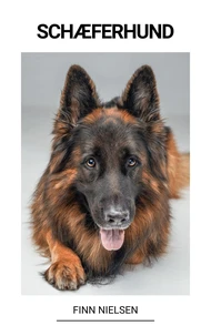 Schæferhund