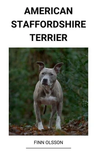 American Staffordshire Terrier