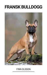 Fransk bulldogg