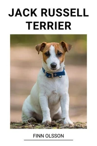 Jack Russell Terrier