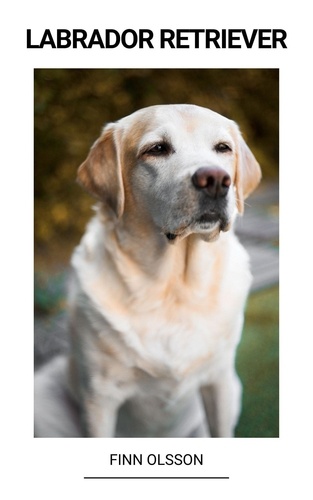  Finn Olsson - Labrador Retriever.