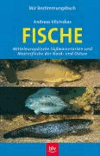Fische - Mitteleuropäische Süßwasserarten und Meeresfische der Nord- und Ostsee.