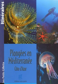 Plongées en Méditerranée