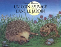 Un Coin Sauvage Dans Le Jardin