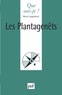 Henri Legohérel - Les Plantagenêts.