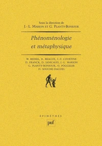 Phénoménologie et métaphysique