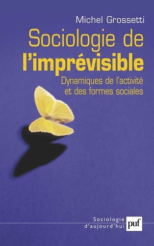 Michel Grossetti - Sociologie de l'imprévisible - Dynamiques de l'activité et des formes sociales.