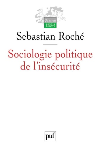 Sociologie politique de l'insécurité. Violences urbaines, inégalités et globalisation