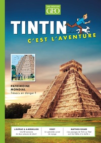Eric Meyer - Tintin c'est l'aventure N° 12 : Patrimoine mondial.
