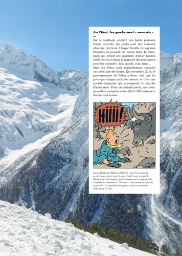 Tintin c'est l'aventure N° 2, septembre-octobre-novembre 2019 Iles. Terres d'imaginaire