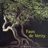 Faux De Verzy