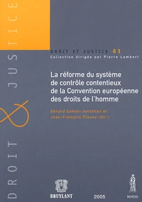 La réforme du système de contrôle contentieux de la Convention européenne des droits de l'homme