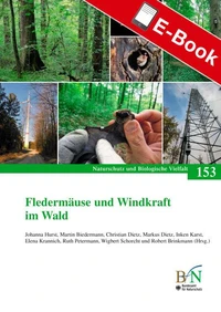 Fledermäuse und Windkraft im Wald