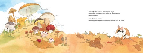 Chapeau les champignons ! - Mycologie de Fleur Daugey - Album - Livre -  Decitre