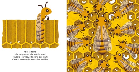 Les p'tites abeilles. La vie dans la ruche
