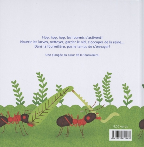 Les p'tites fourmis. La vie dans la fourmilière