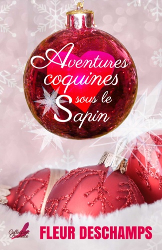 Aventures coquines sous le sapin