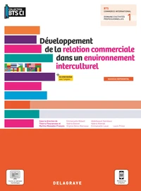Développement de la relation commerciale dans un environnement interculturel BTS commerce international