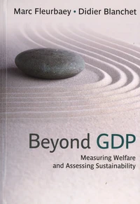 Beyond GDP