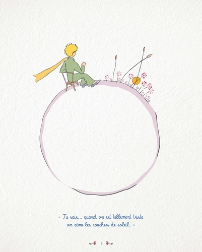 Merveilleux Petit Prince. Avec 1 poster