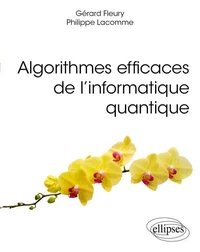 Algorithmes efficaces de l’informatique quantique