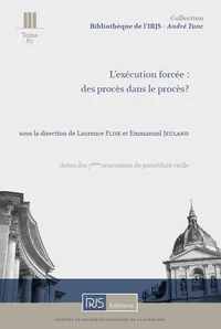 L'exécution forcée : des procès dans le procès ?