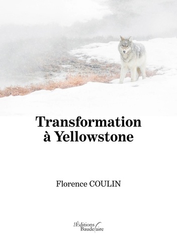 Transformation à Yellowstone