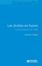 Florence Haegel - Les droites en fusion - Transformations de l'UMP.
