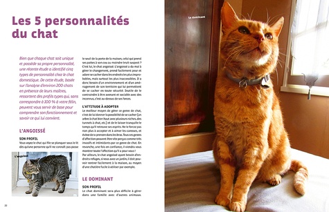 Rendre Son Chat Heureux Florence Icard Livres Furet Du Nord Rendre Son Chat Heureux Florence Icard Livres Furet Du Nord